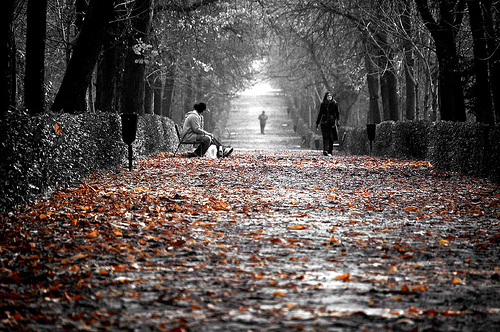 autunno fengshui