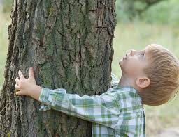 bambino abbraccia albero